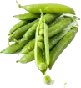Vegetable